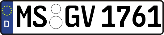 MS-GV1761