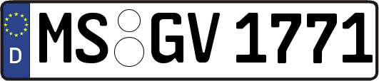 MS-GV1771