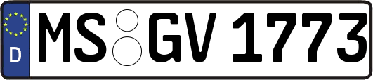 MS-GV1773