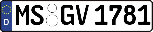 MS-GV1781