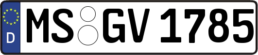 MS-GV1785