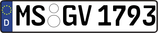 MS-GV1793