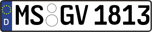 MS-GV1813