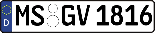 MS-GV1816