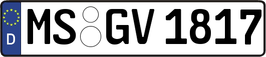 MS-GV1817