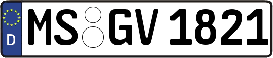 MS-GV1821