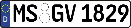 MS-GV1829