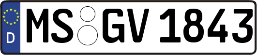 MS-GV1843