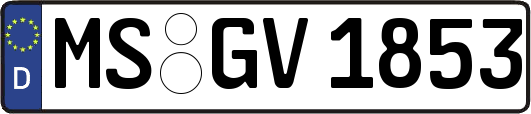 MS-GV1853