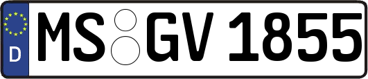 MS-GV1855
