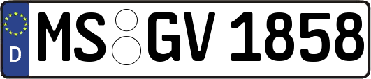 MS-GV1858