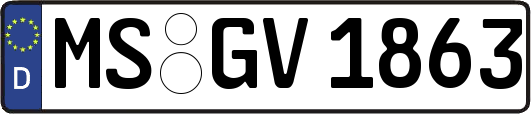 MS-GV1863