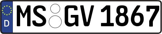 MS-GV1867