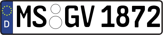 MS-GV1872