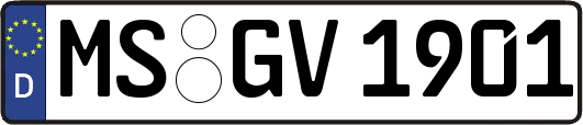 MS-GV1901