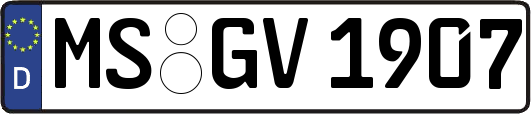 MS-GV1907
