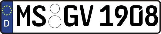 MS-GV1908