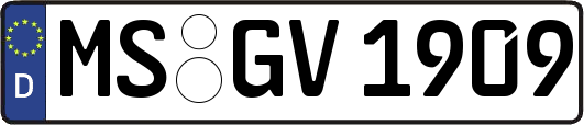 MS-GV1909