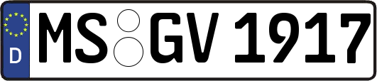 MS-GV1917