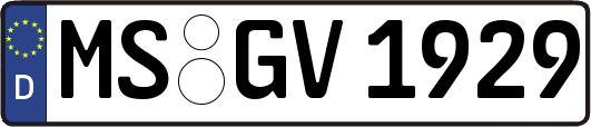 MS-GV1929