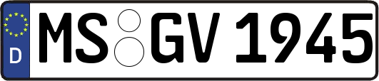 MS-GV1945