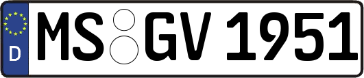 MS-GV1951
