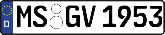 MS-GV1953