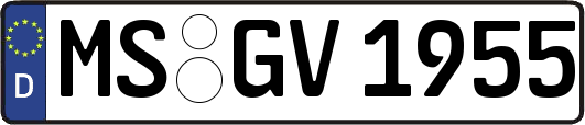 MS-GV1955