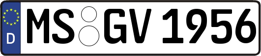 MS-GV1956