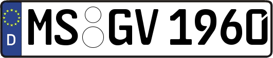 MS-GV1960