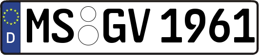 MS-GV1961