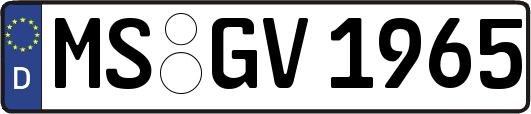 MS-GV1965
