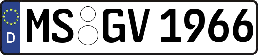 MS-GV1966