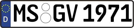 MS-GV1971