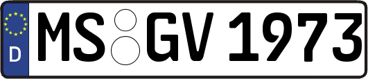 MS-GV1973