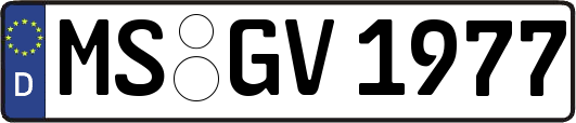 MS-GV1977