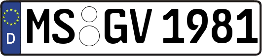 MS-GV1981