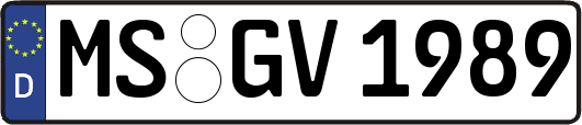 MS-GV1989