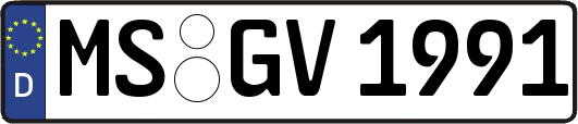 MS-GV1991