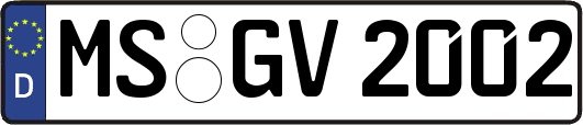 MS-GV2002