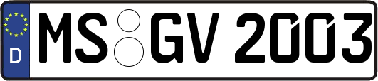 MS-GV2003