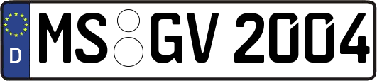 MS-GV2004