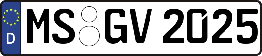 MS-GV2025