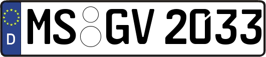 MS-GV2033