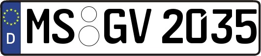 MS-GV2035