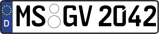 MS-GV2042
