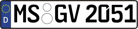 MS-GV2051