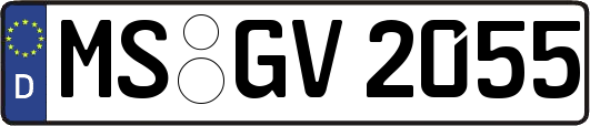 MS-GV2055