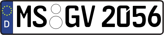 MS-GV2056