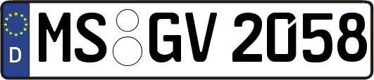 MS-GV2058